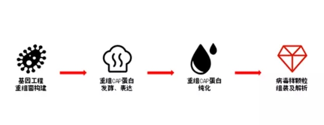 640.webp (2).jpg