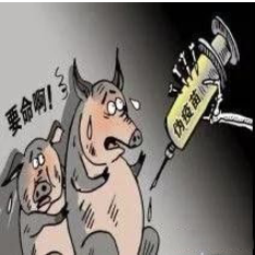 QQ截图20171013142856.png