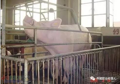 QQ截图20171213154641.jpg