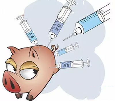 猪出现紧急症状时,什么情况能打针?