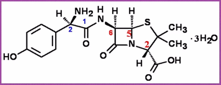 兽药知识 |"恩诺沙星 阿莫西林"两药联合使用的技术点