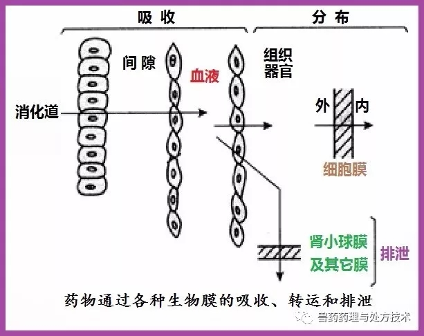 640.webp (2).jpg