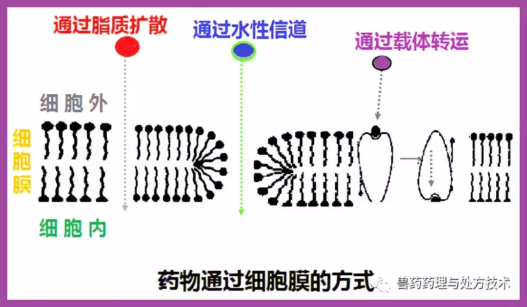 1537510124112962.jpg