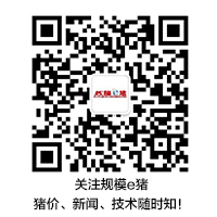 规模e猪微信公众号