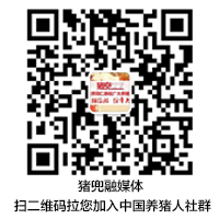 猪兜微信群二维码