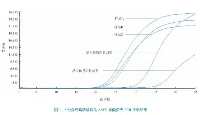 微信图片_20190325103528.jpg