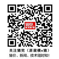规模e猪微信公众号