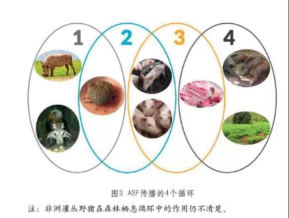 微信图片_20190624151534.jpg