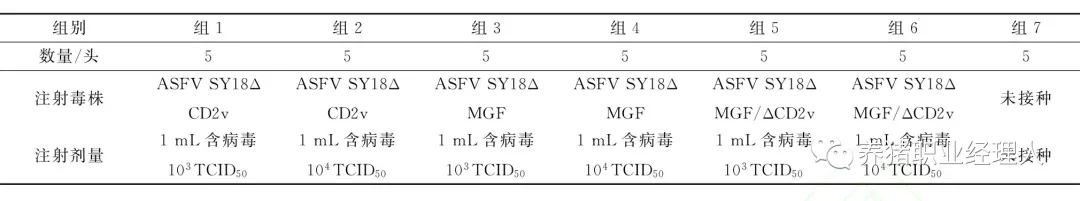 1565339824123759.jpg