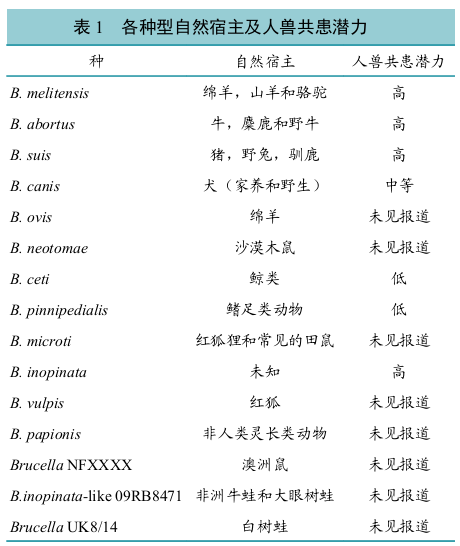 微信图片_20200424173914.png