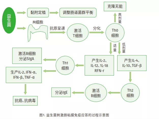 640.webp (2).jpg