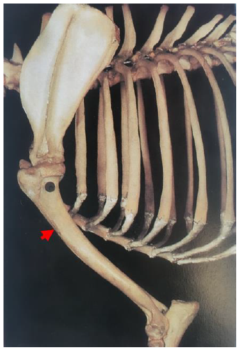 1595574846778012.png 640 (2).png