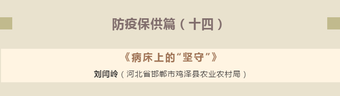 2020112001312943