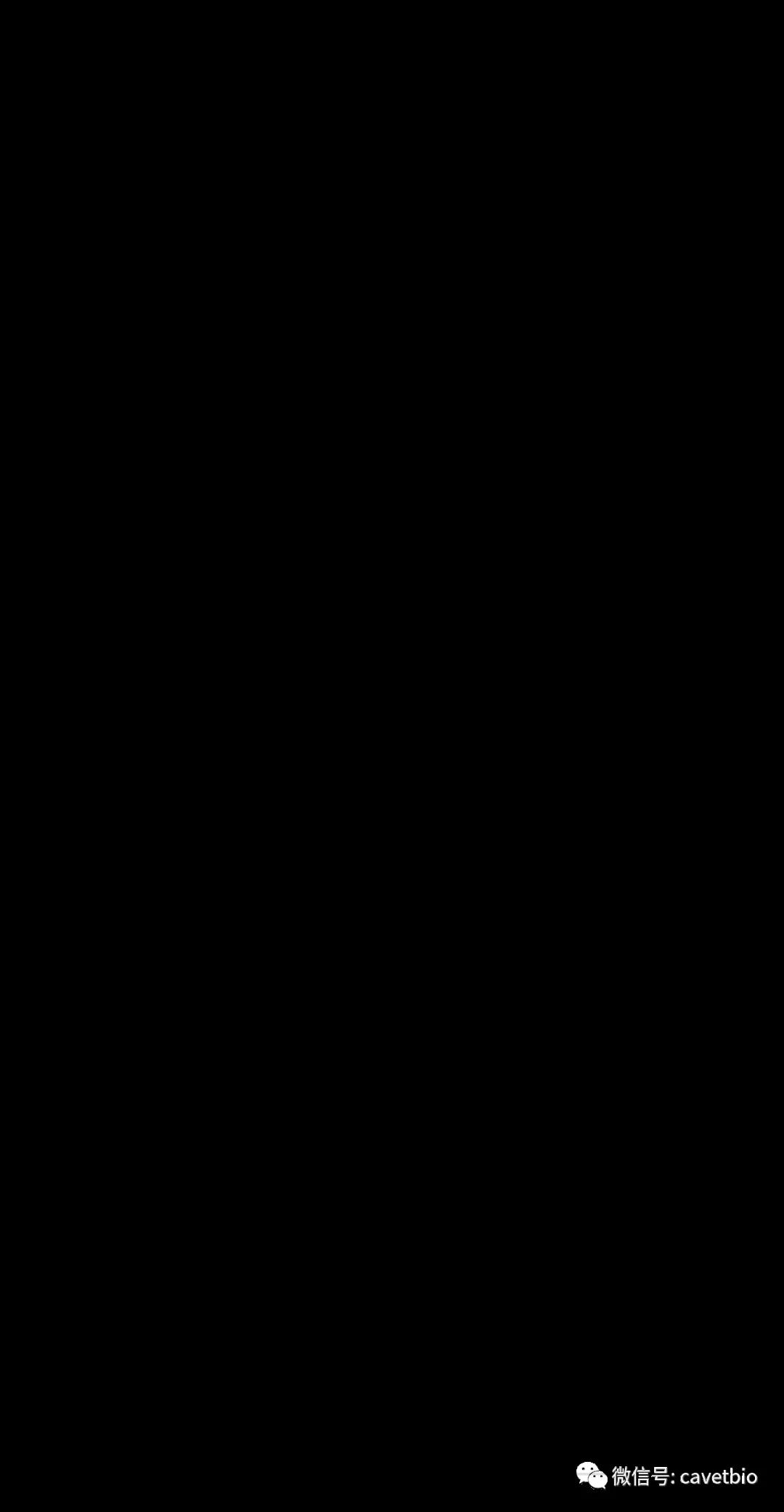 1610936915647385.jpg