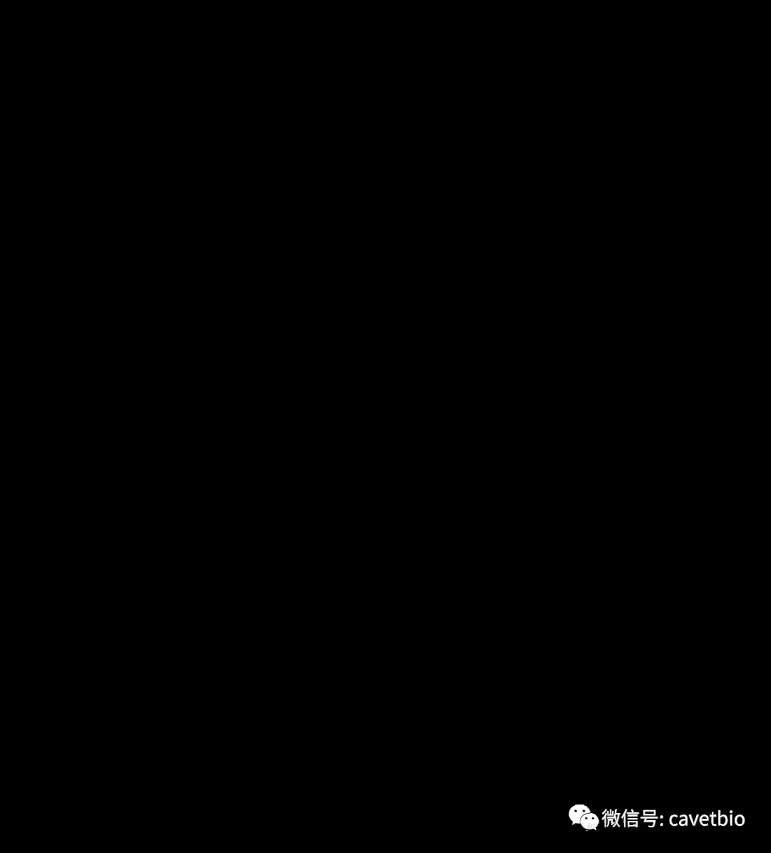 1610937013102092.jpg
