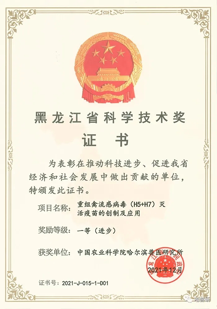 1643015727314534.jpg