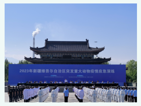1692600518373581.png image.png