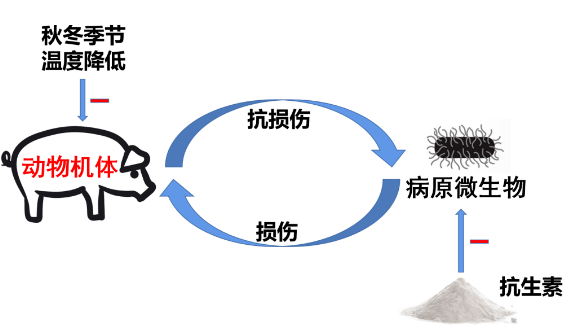 1700633584216969.png image.png